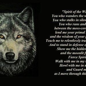 Meet your Posher, Nat